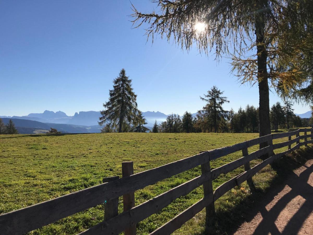 Beckenbinder Apartement Schlern San Genesio Atesino Bagian luar foto