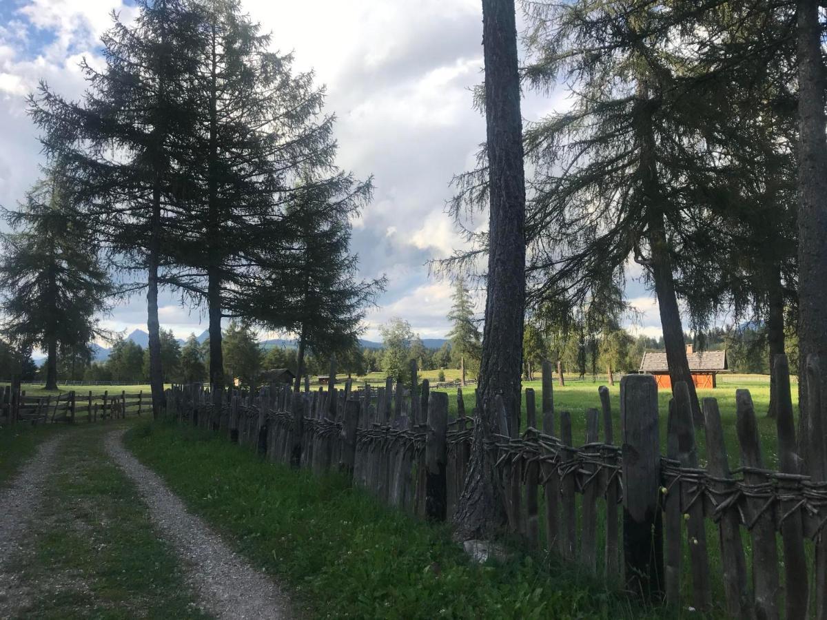 Beckenbinder Apartement Schlern San Genesio Atesino Bagian luar foto